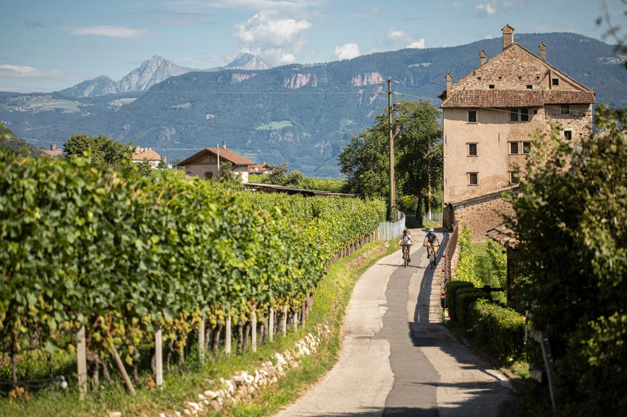 Hotel Girlanerhof Appiano Sulla Strada Del Vino Exteriér fotografie