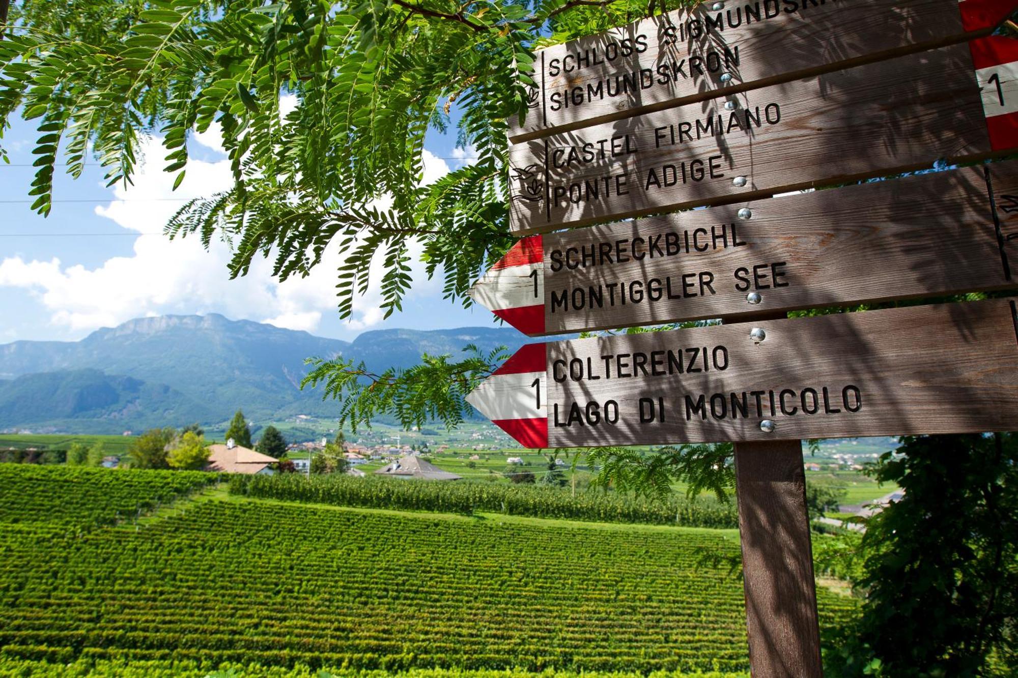 Hotel Girlanerhof Appiano Sulla Strada Del Vino Exteriér fotografie